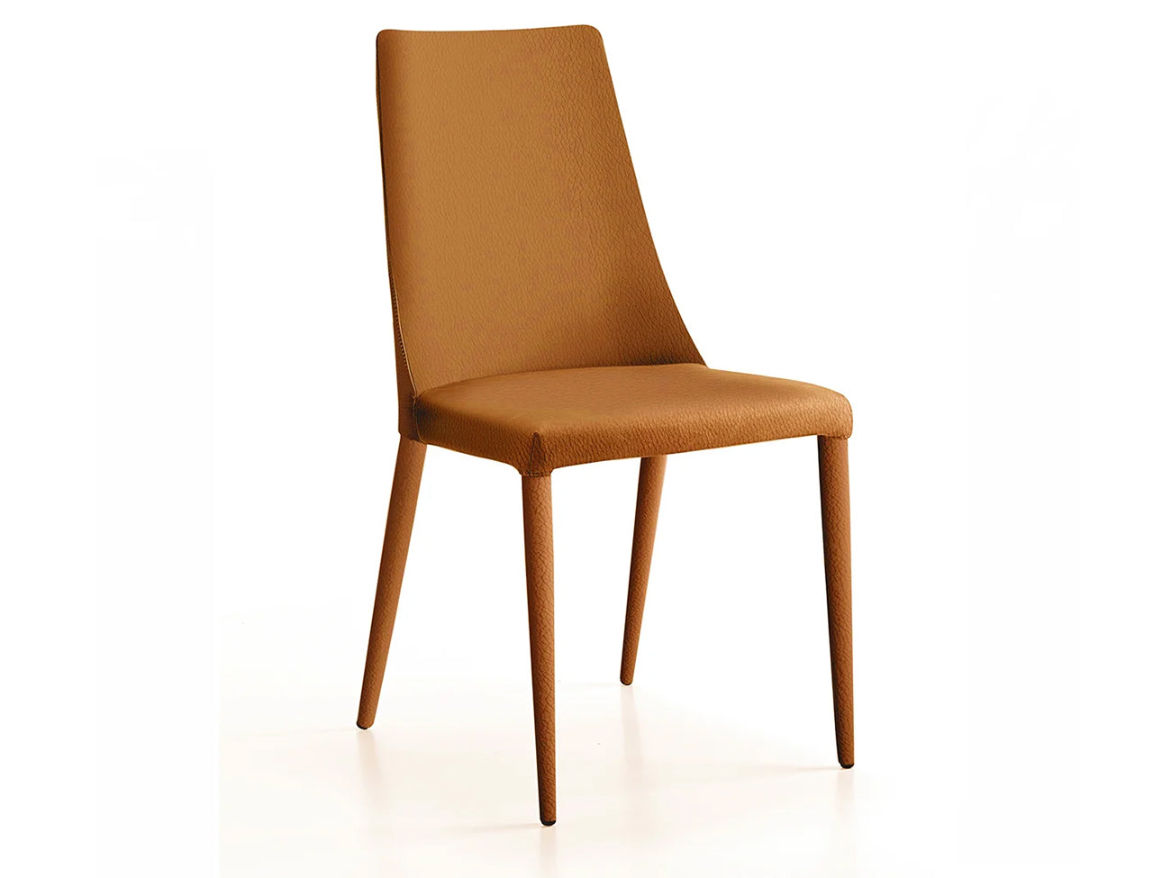 Aloe Dining Chair